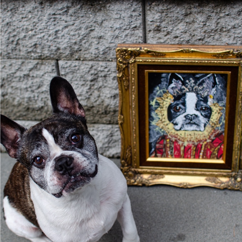 PET PORTRAITS❤️🎨